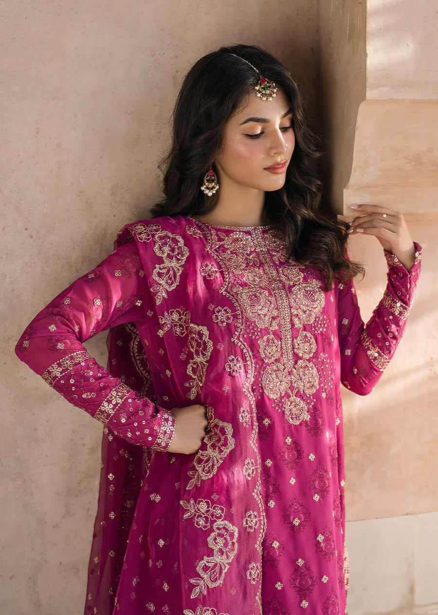 Pink Bandhani Chiffon Collection by Iznik