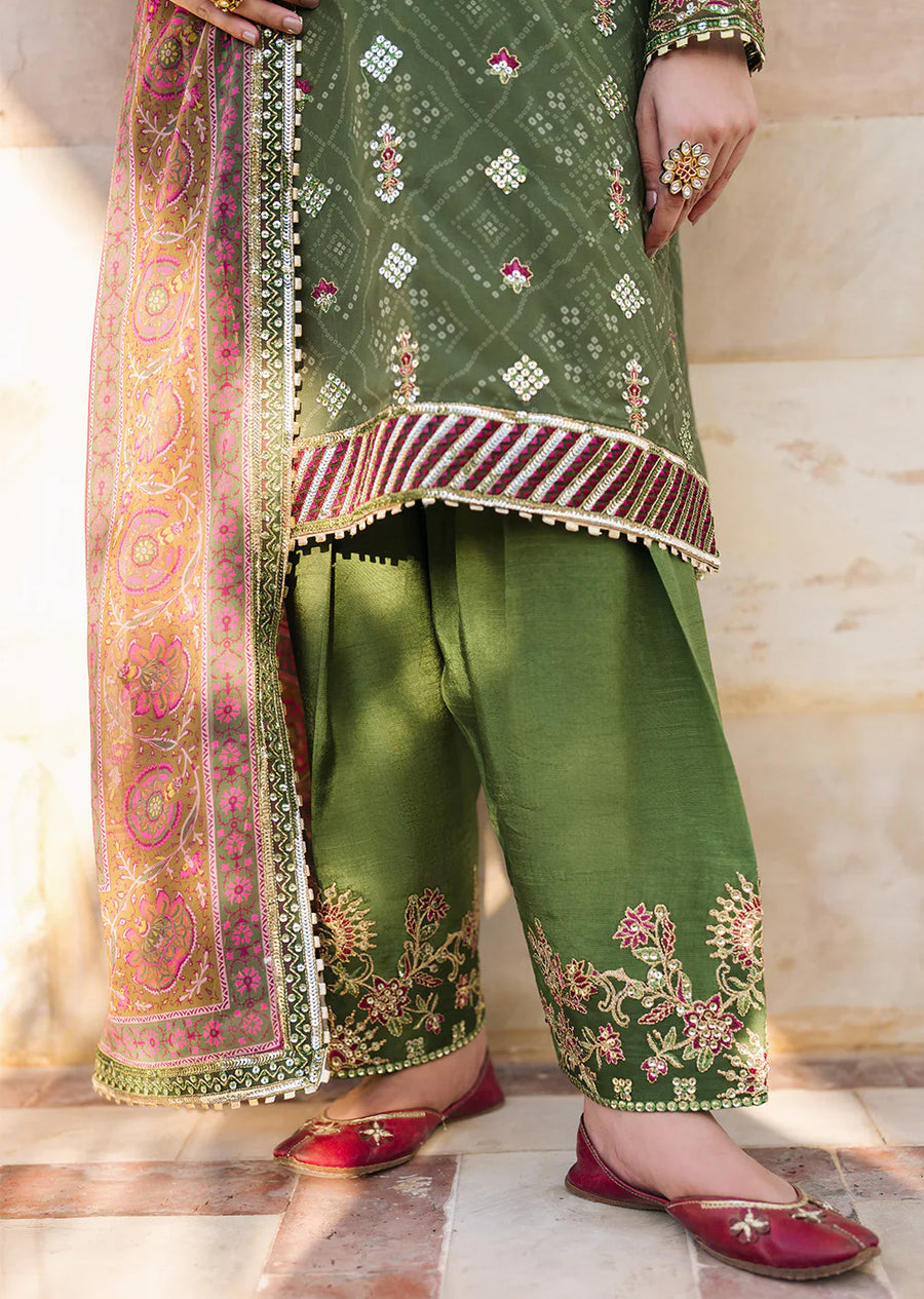 Green Bandhani Chiffon Collection by Iznik - Suit
