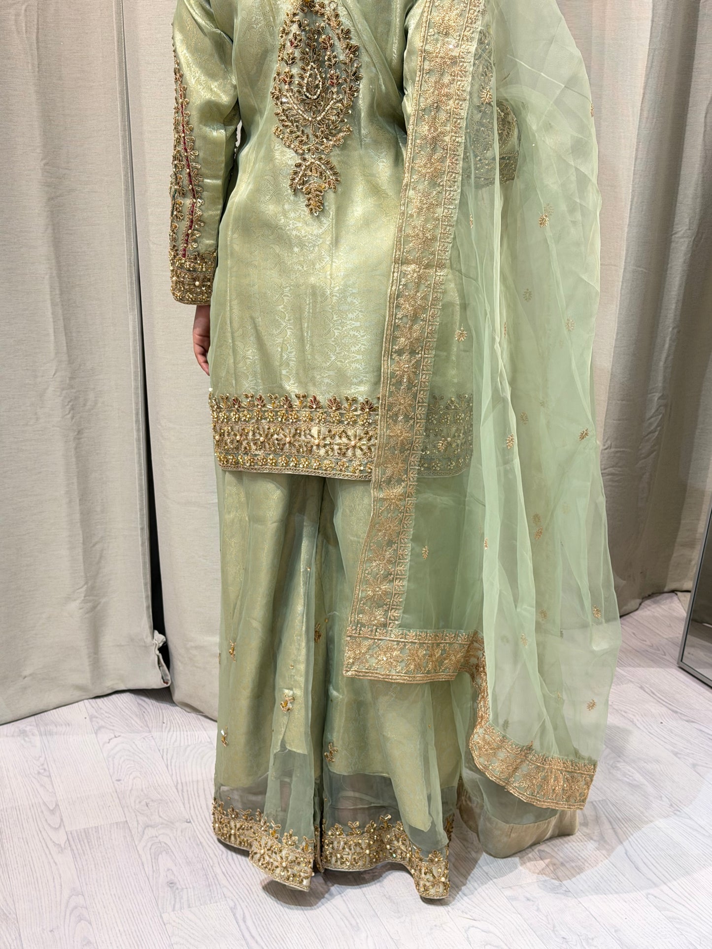 Banaras Print Mint Net Sharara