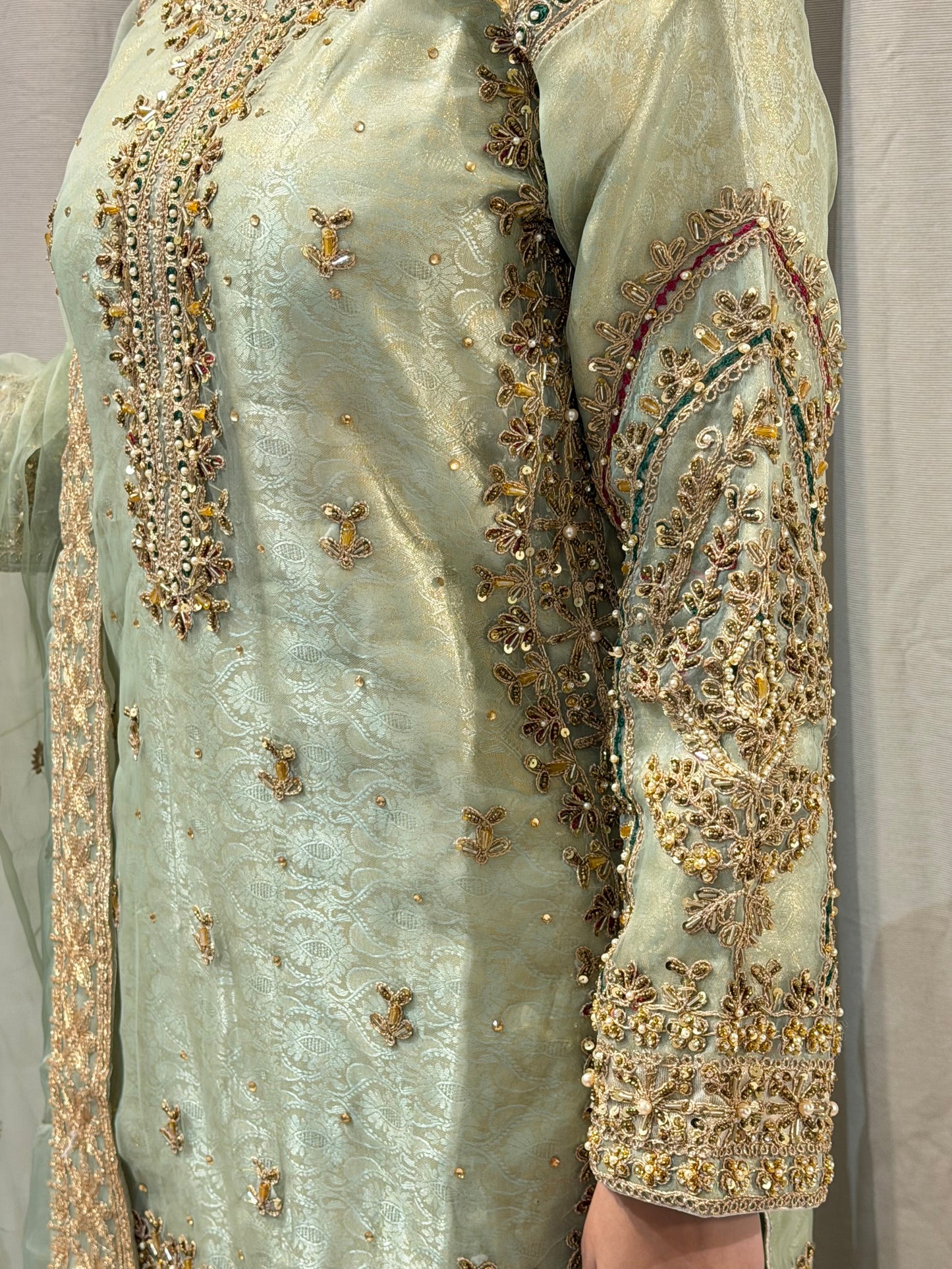Banaras Print Mint Net Sharara