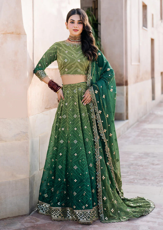 Green Bandhani Chiffon Collection by Iznik - 3 Piece Lehenga