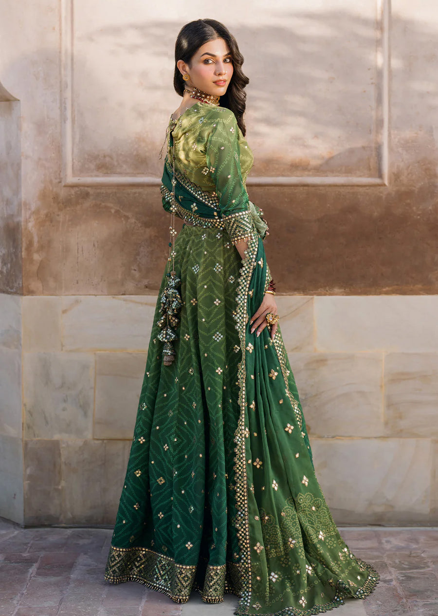 Green Bandhani Chiffon Collection by Iznik - 3 Piece Lehenga