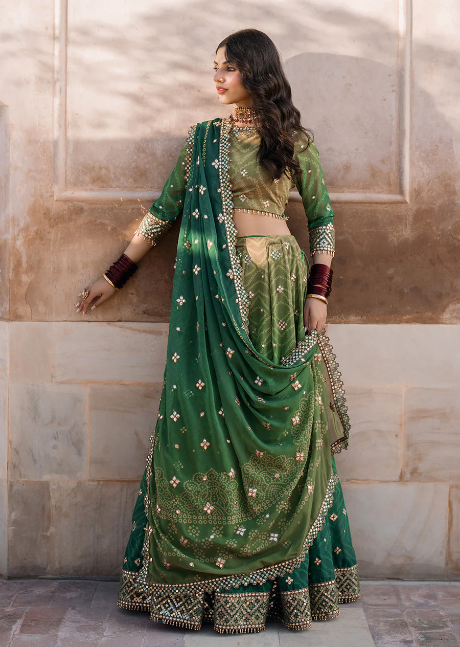 Green Bandhani Chiffon Collection by Iznik - 3 Piece Lehenga