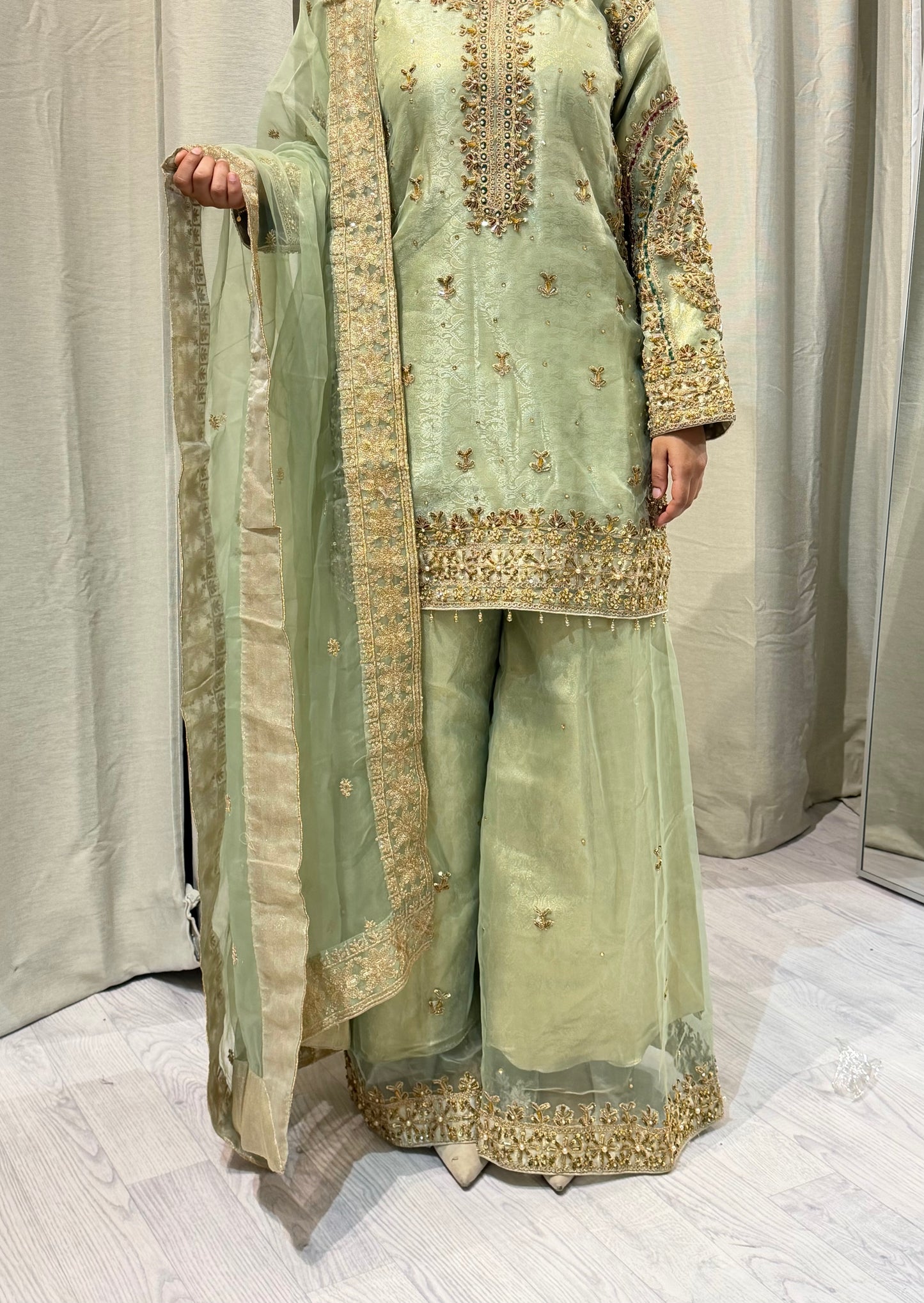 Banaras Print Mint Net Sharara