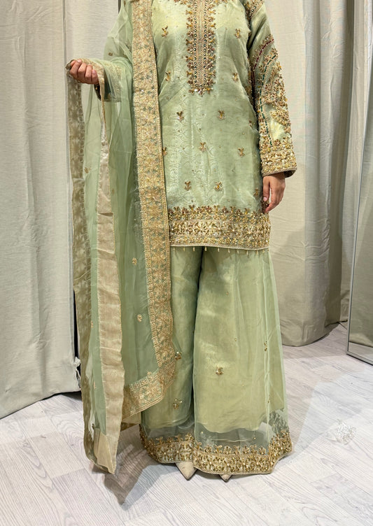 Banaras Print Mint Net Sharara